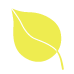 Leaf-yellow