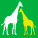 Giraff 1